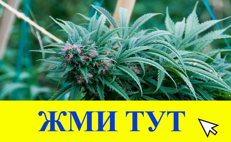 Купить наркотики в Вичуге